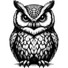 owl
